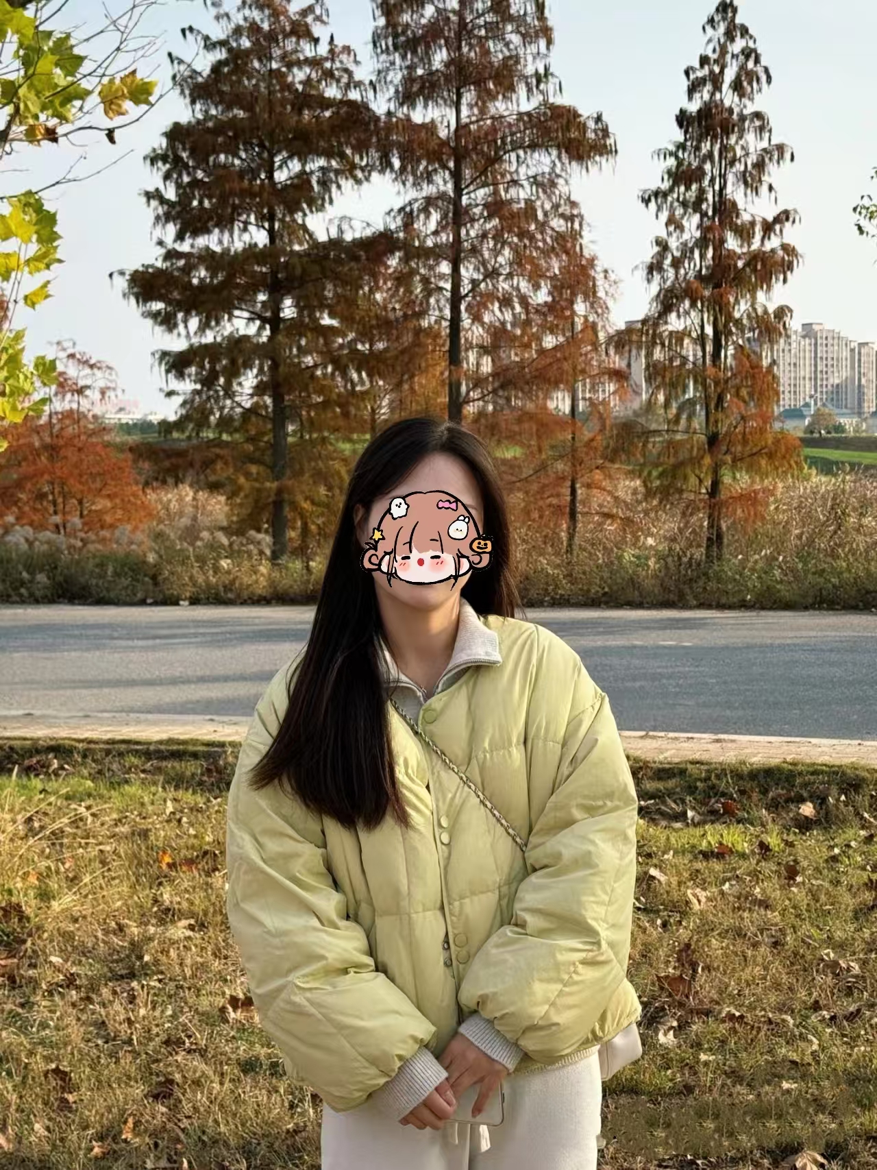 微信图片_20241216105307.jpg