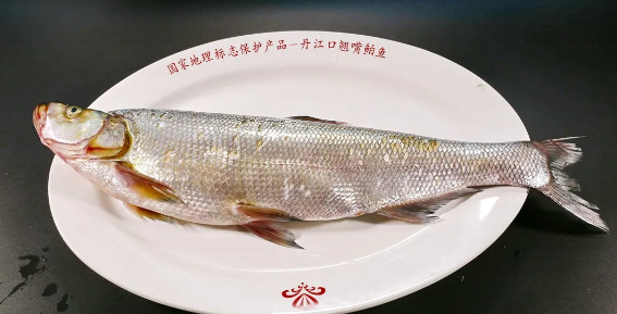 e35d4523efb418373641f5e410319b8.png
