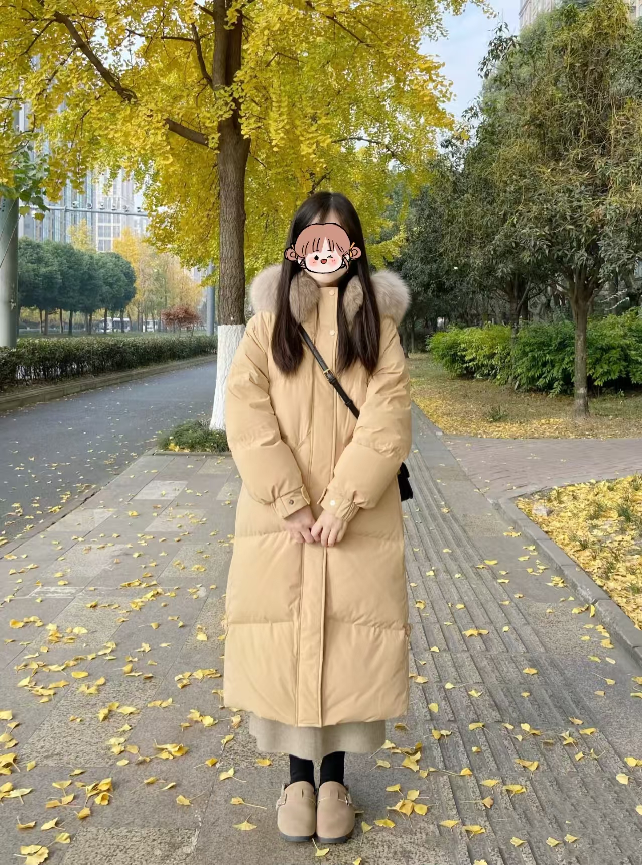 微信图片_20250103151823.jpg