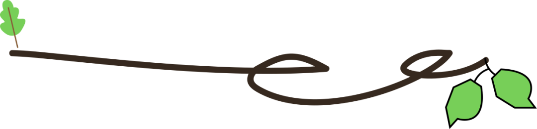 100843a89ziz171l715jlv.png