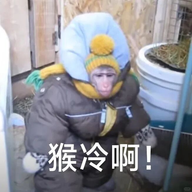 173244pd58di7mdxe87x5p.jpeg